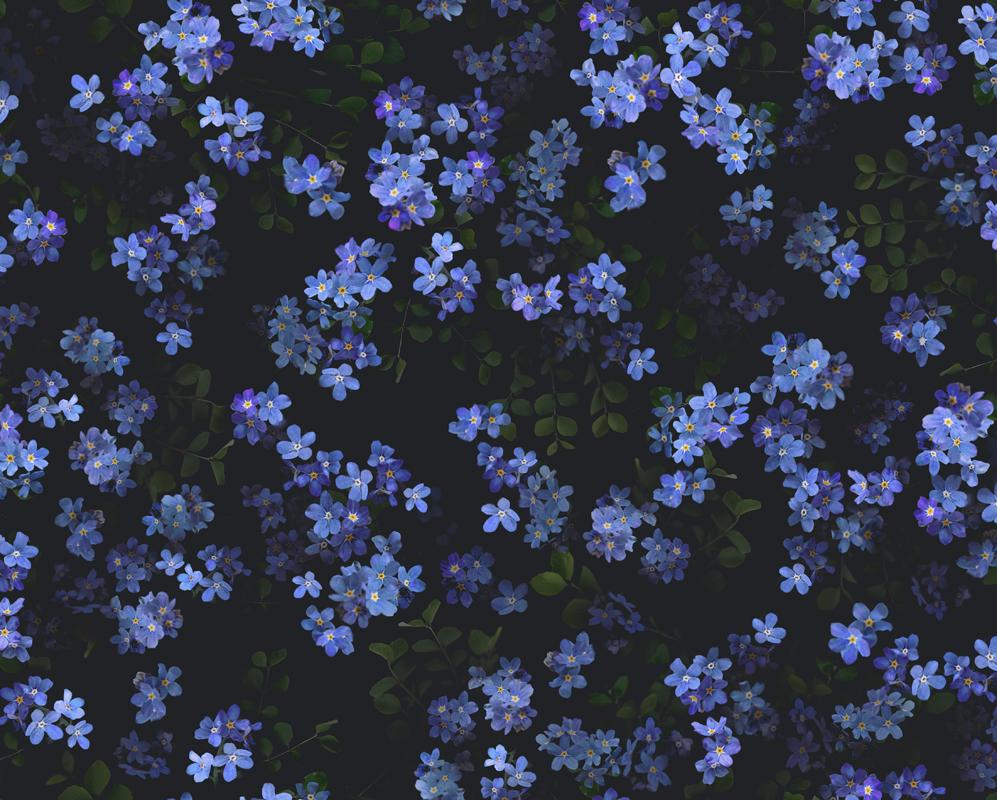 Forget Me Not wallpaper by JoakimK  Download on ZEDGE  8a2b